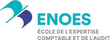 Logo ENOES