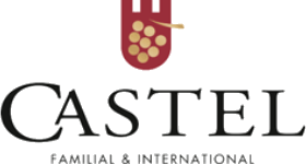 Logo Castel Wine